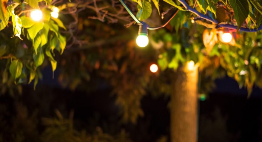 Transform Your Garden with Festoon Lighting: A Guide to Creating a Magical Outdoor Space