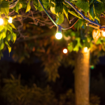 Transform Your Garden with Festoon Lighting: A Guide to Creating a Magical Outdoor Space